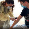 Full Body Skin Exam at Walk-in Dermatology